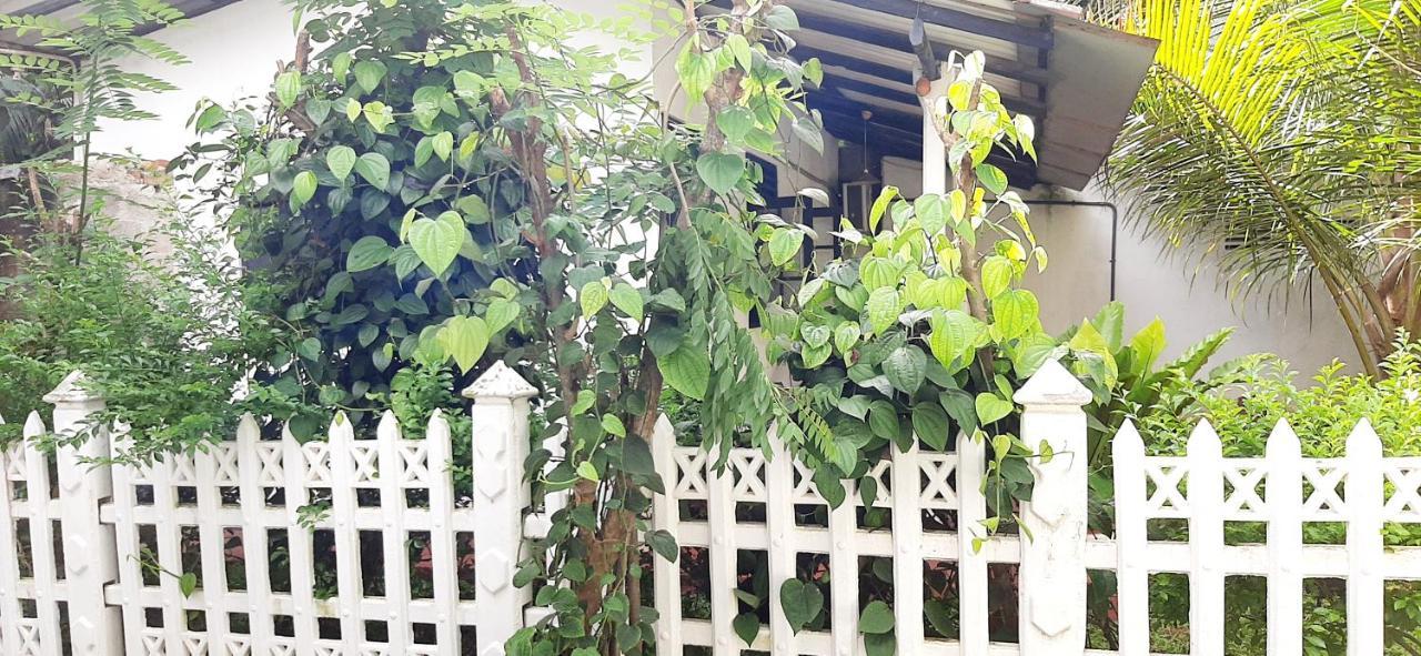 Hiriketiya Cinnamon Garden Dikwella Exterior foto